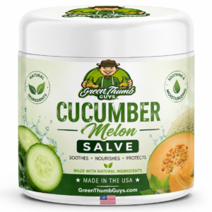 Cucumber Melon Salve
