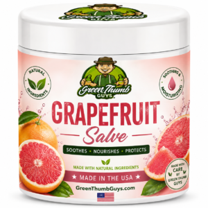 Grapefruit Salve